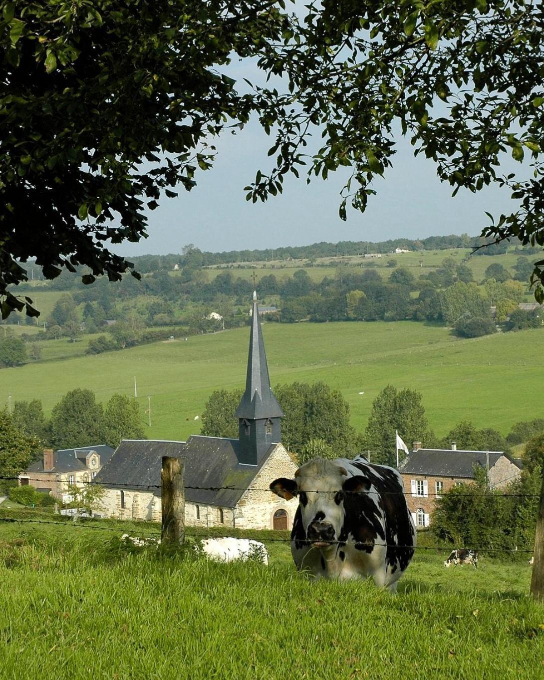 Gite "Le Refuge" Dans Un Domaine De 7Ha Au Calme Vimoutiers Zewnętrze zdjęcie
